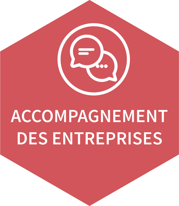 accompagnement des entreprises.png