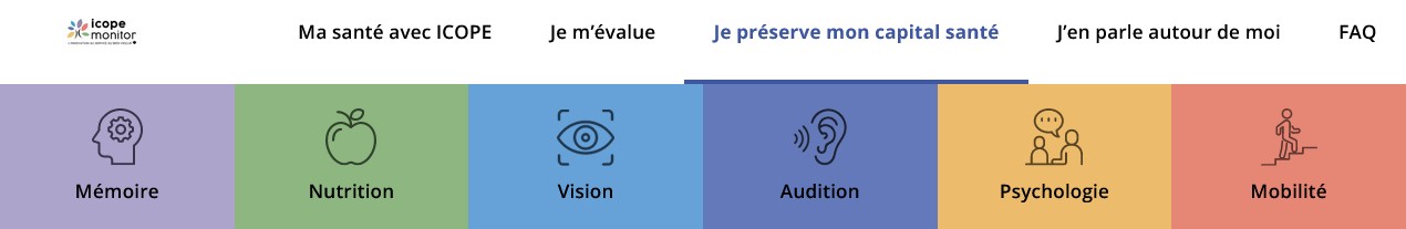 Icope_preserver capital santé illustration 6 thèmes.jpg