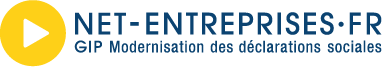 logo net-entreprises